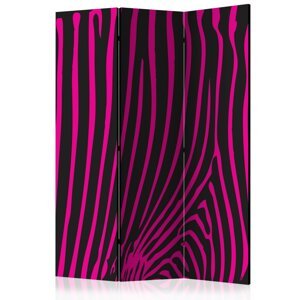 Paraván Zebra pattern (violet) Dekorhome