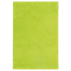 Sconto Koberec SPRING zelená, 160x230 cm